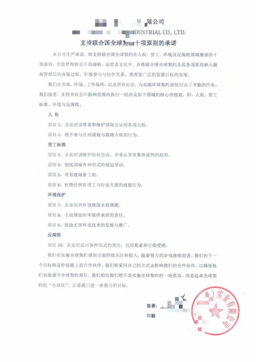 十项原则样本